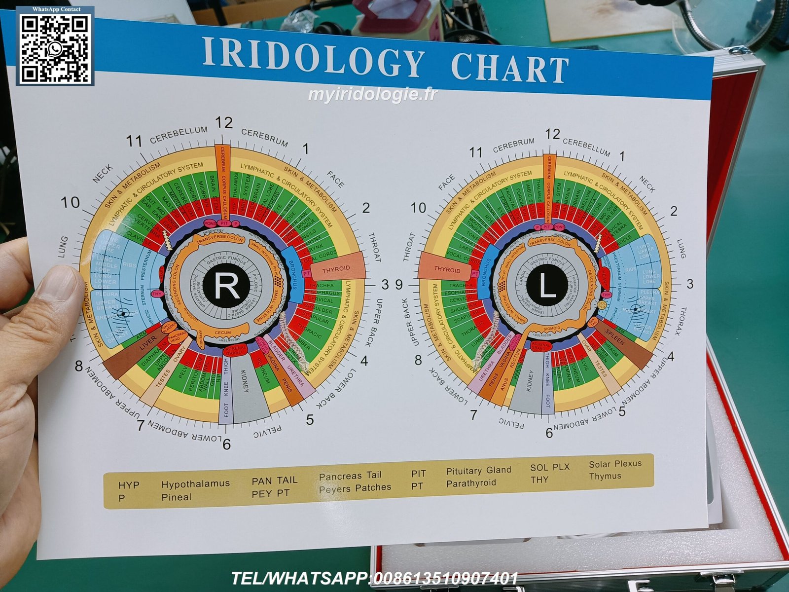 loupe pour iridologie