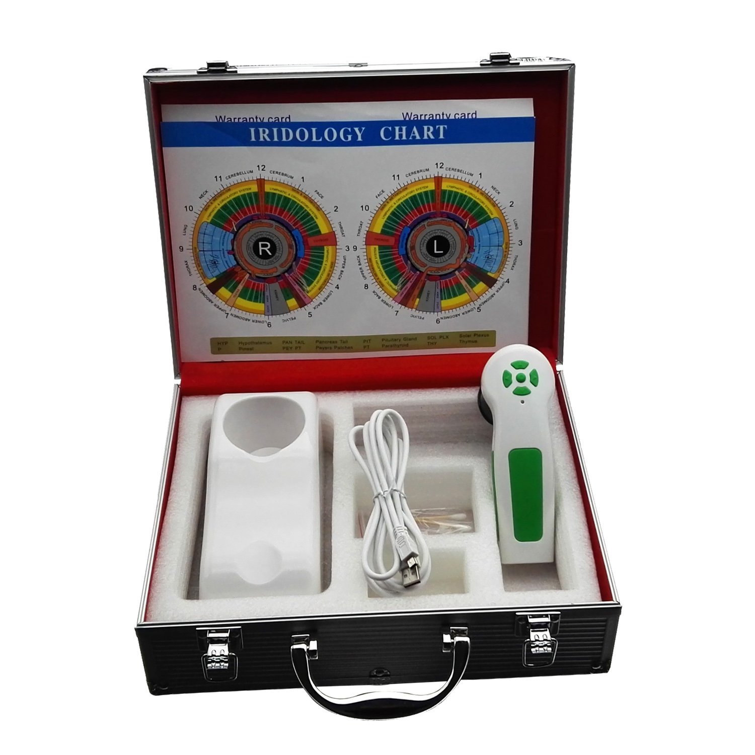 Praticien utilisant une loupe pour iridologie AIKONG pour examiner l'iris d'un patient