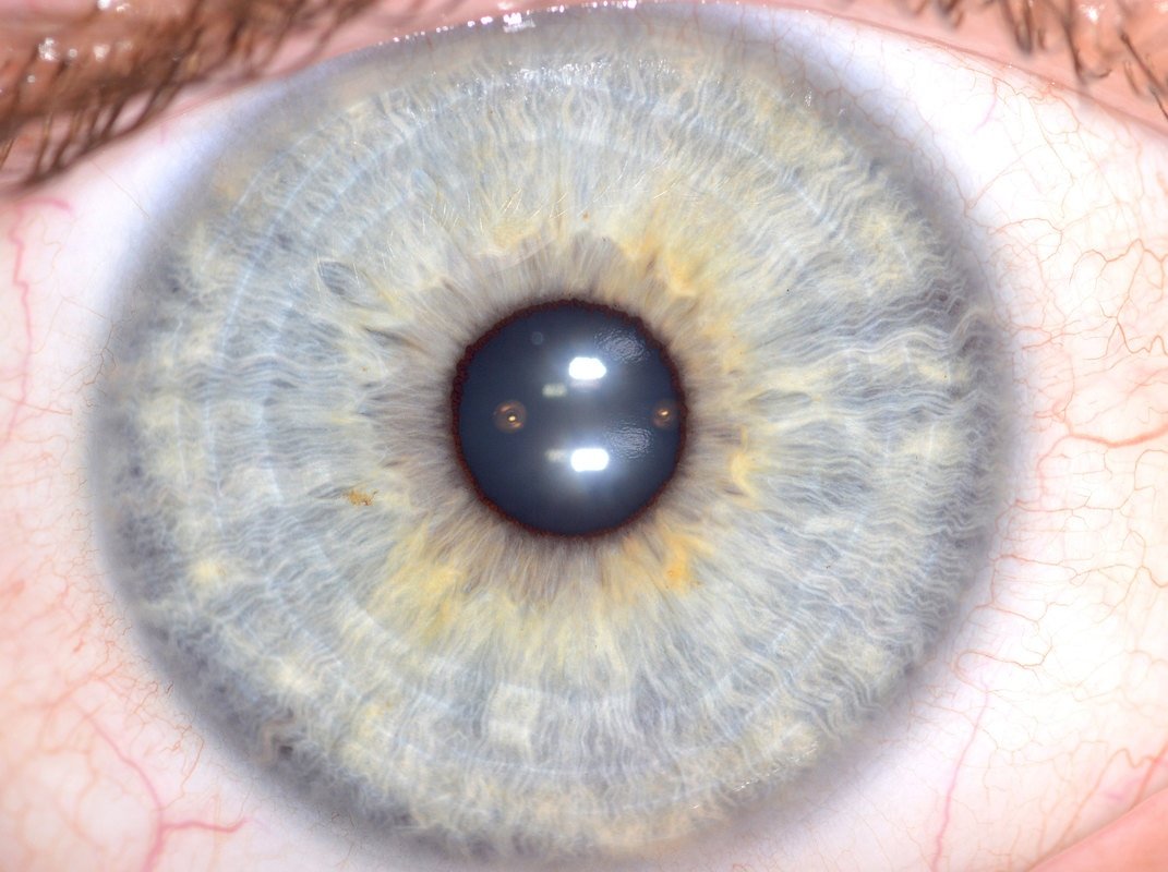 Gros plan d'un iris humain capturé avec une macro lens iridology