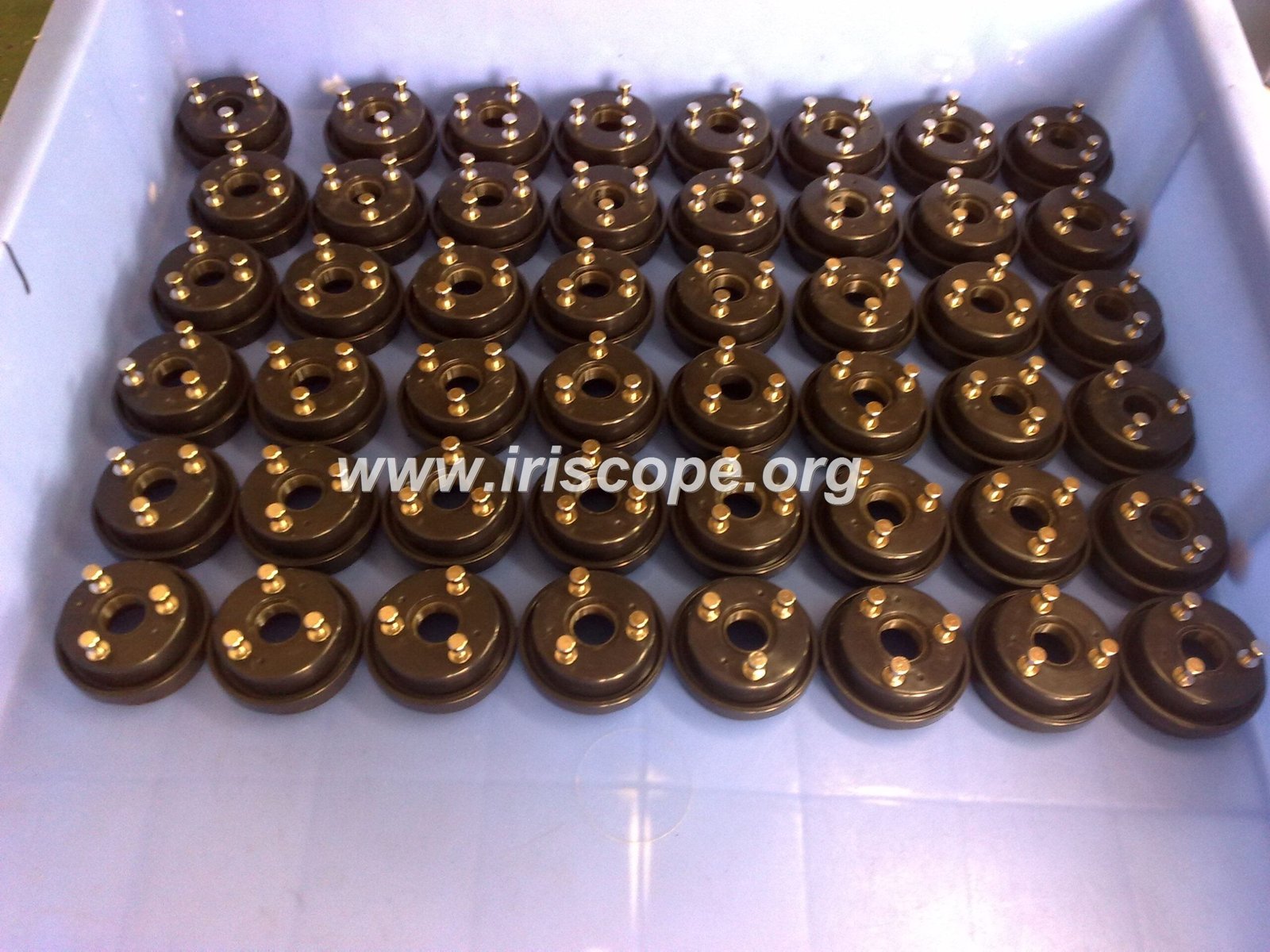 Loupe d'Iridologie MAIKONG