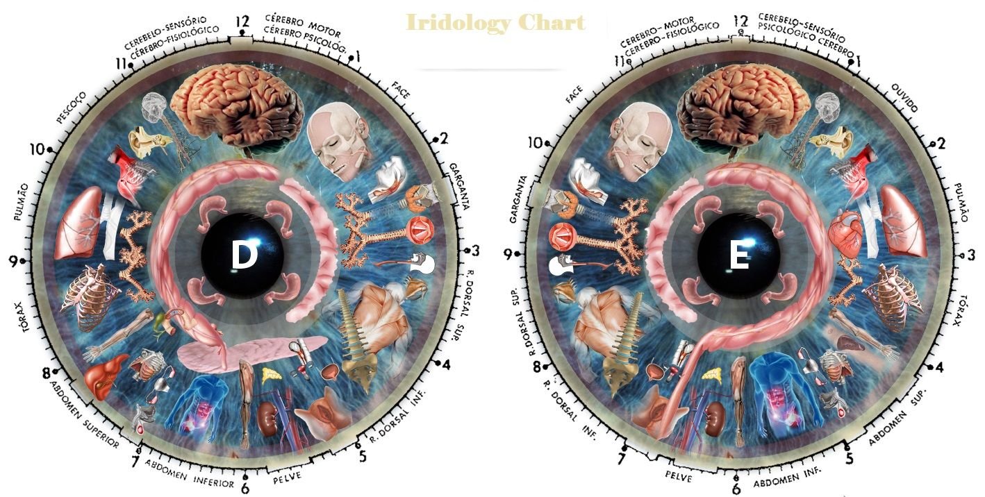 Carte d'Iridologie Gratuite