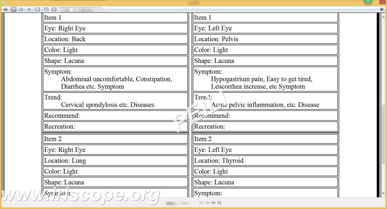 MAIKONG IRIDOLOGY software Reports