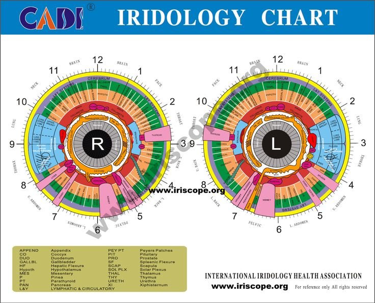 MAIKONG IRIDOLOGY Chart
