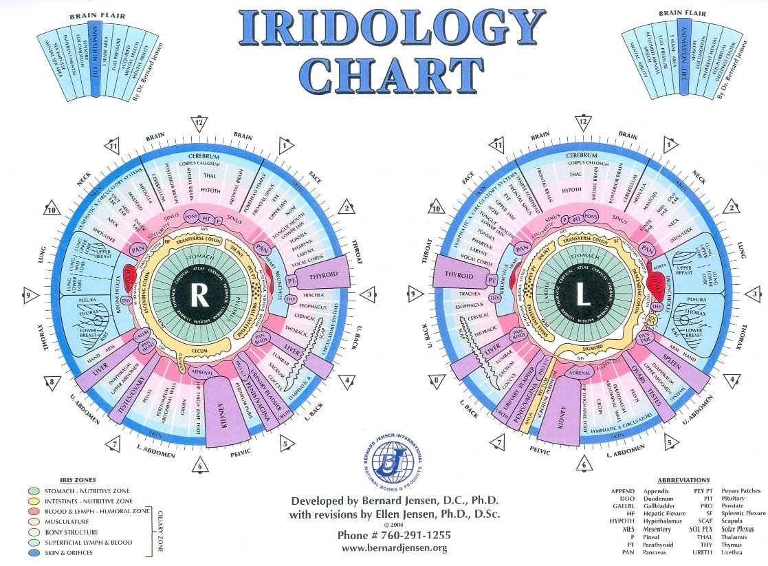 iridologie cartographie