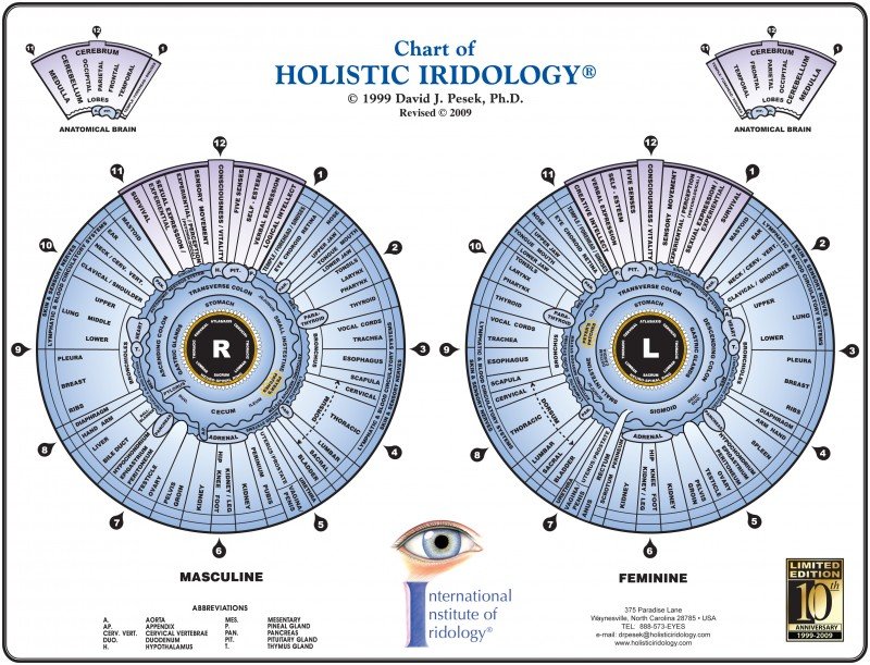 Carte Iridologie