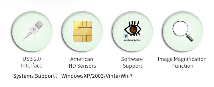 Conseil Loupe Iridologie