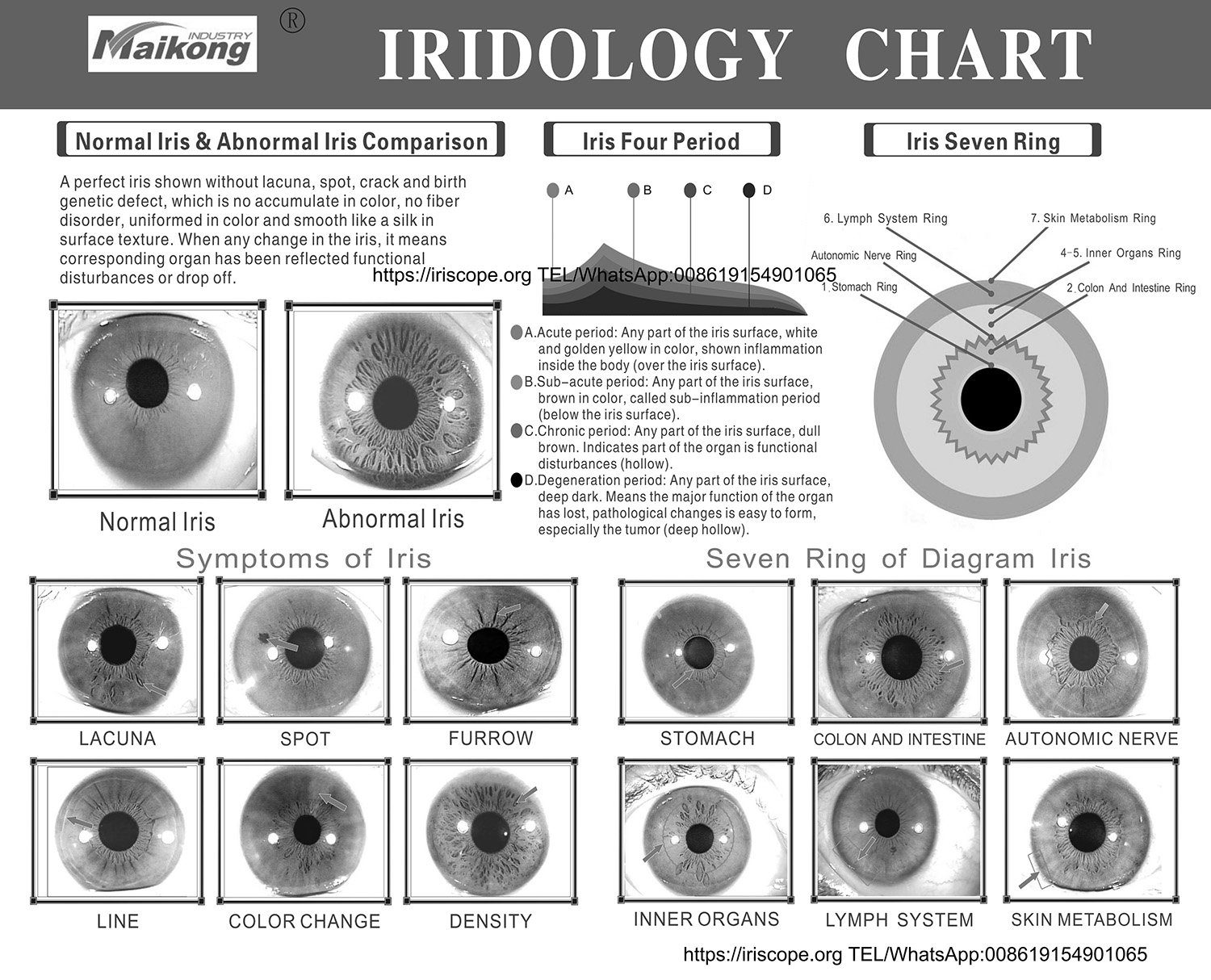 Carte d'Iridologie Professionnelle