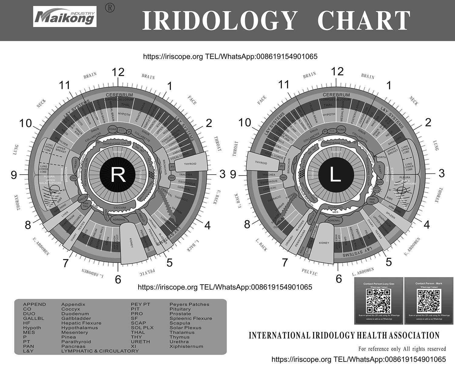 Carte d'Iridologie Professionnelle