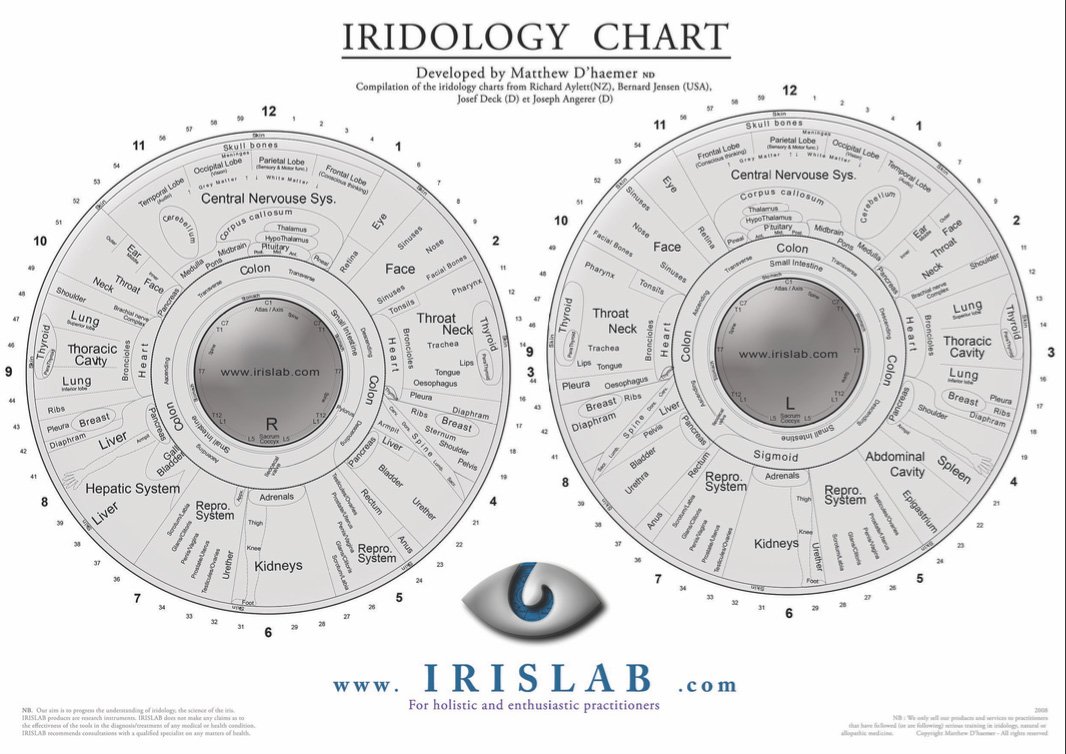 carte iridologie