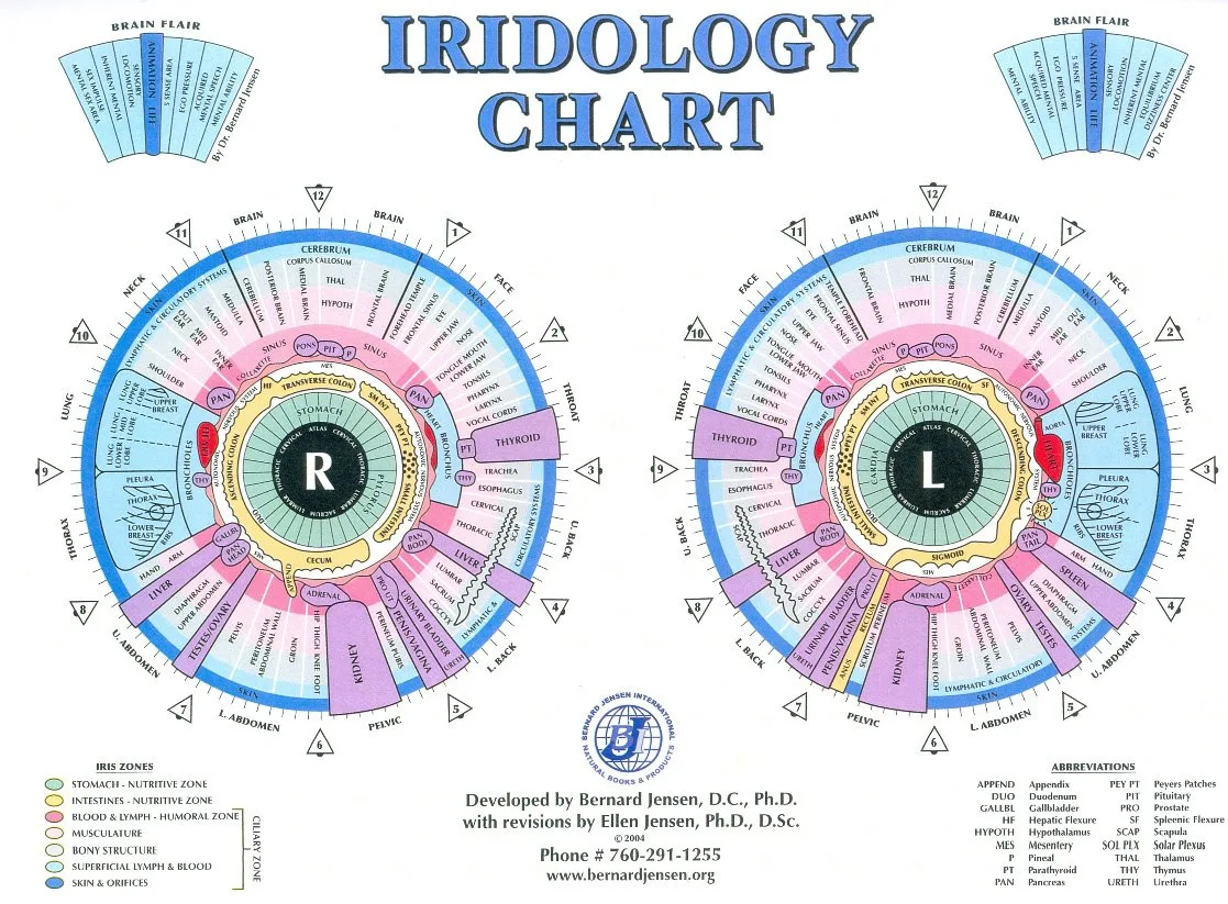 Iridoscope pour naturopathe: quel appareil choisir et comment l’intégrer à votre pratique en France — Iridology Chart Left Eye (4).jpg