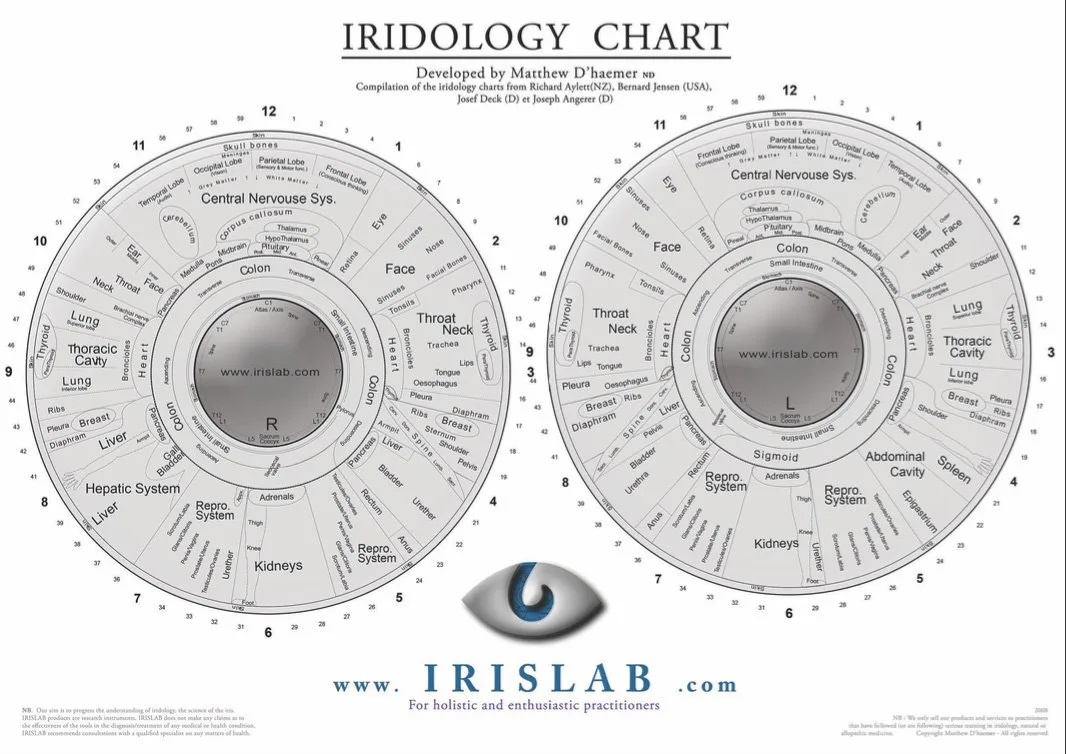 Iridoscope pour naturopathe: quel appareil choisir et comment l’intégrer à votre pratique en France — Iridology Chart Left Eye (7).JPG