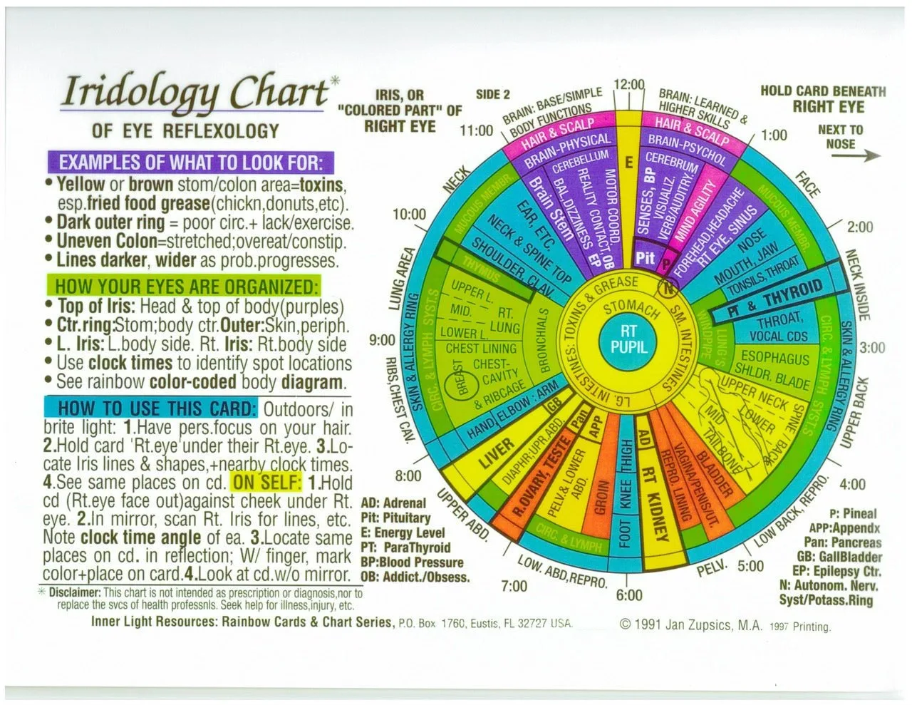 Iridoscope pour naturopathe: quel appareil choisir et comment l’intégrer à votre pratique en France — Iridology chart right eye  (6).jpg