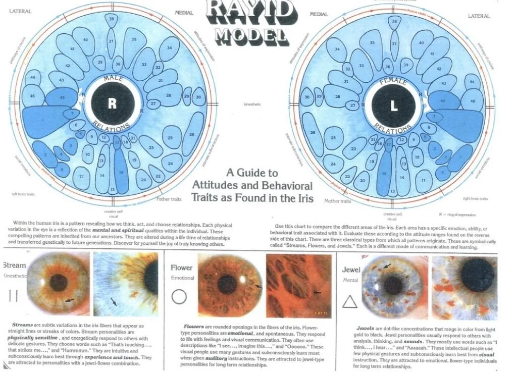 Raffaella Paganessi iridologa: ce que les revendeurs d’équipement d’iridologie en France doivent savoir — iridologia mappa (14).jpg